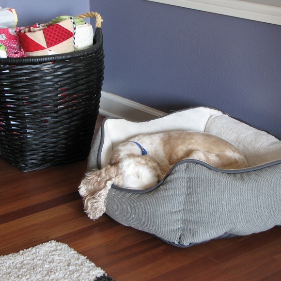 Meet your Posher, Heather - Picture 3 of 5